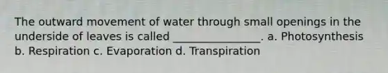 The outward movement of water through small openings in the underside of leaves is called ________________. a. Photosynthesis b. Respiration c. Evaporation d. Transpiration