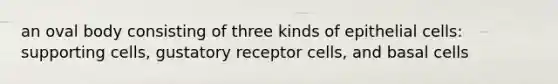an oval body consisting of three kinds of epithelial cells: supporting cells, gustatory receptor cells, and basal cells