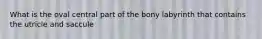 What is the oval central part of the bony labyrinth that contains the utricle and saccule