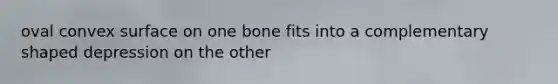 oval convex surface on one bone fits into a complementary shaped depression on the other