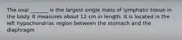 The oval _______ is the largest single mass of lymphatic tissue in the body. It measures about 12 cm in length. It is located in the left hypochondriac region between the stomach and the diaphragm