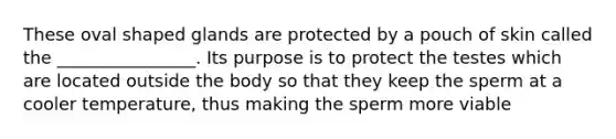These oval shaped glands are protected by a pouch of skin called the ________________. Its purpose is to protect the testes which are located outside the body so that they keep the sperm at a cooler temperature, thus making the sperm more viable