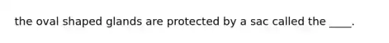 the oval shaped glands are protected by a sac called the ____.