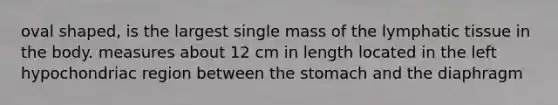 oval shaped, is the largest single mass of the lymphatic tissue in the body. measures about 12 cm in length located in the left hypochondriac region between the stomach and the diaphragm