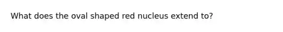 What does the oval shaped red nucleus extend to?