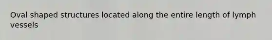 Oval shaped structures located along the entire length of lymph vessels