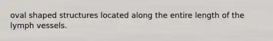 oval shaped structures located along the entire length of the lymph vessels.