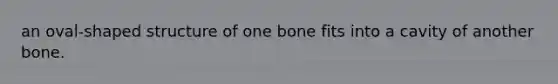 an oval-shaped structure of one bone fits into a cavity of another bone.