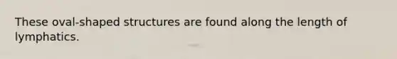 ​These oval-shaped structures are found along the length of lymphatics.
