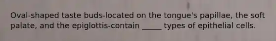 Oval-shaped taste buds-located on the tongue's papillae, the soft palate, and the epiglottis-contain _____ types of epithelial cells.