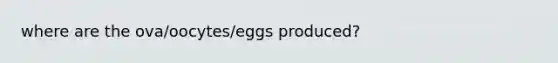 where are the ova/oocytes/eggs produced?