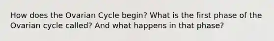 How does the Ovarian Cycle begin? What is the first phase of the Ovarian cycle called? And what happens in that phase?