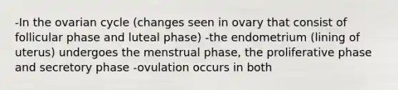 -In the ovarian cycle (changes seen in ovary that consist of follicular phase and luteal phase) -the endometrium (lining of uterus) undergoes the menstrual phase, the proliferative phase and secretory phase -ovulation occurs in both