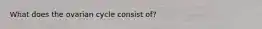 What does the ovarian cycle consist of?