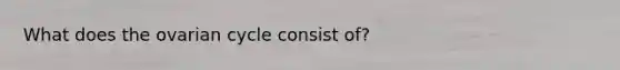 What does the ovarian cycle consist of?
