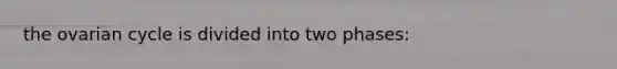 the ovarian cycle is divided into two phases: