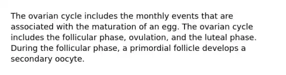 The ovarian cycle includes the monthly events that are associated with the maturation of an egg. The ovarian cycle includes the follicular phase, ovulation, and the luteal phase. During the follicular phase, a primordial follicle develops a secondary oocyte.