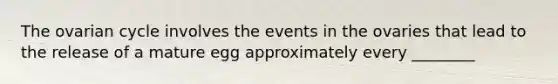 The ovarian cycle involves the events in the ovaries that lead to the release of a mature egg approximately every ________