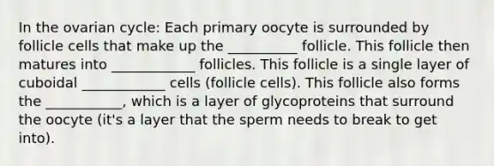 In the ovarian cycle: Each primary oocyte is surrounded by follicle cells that make up the __________ follicle. This follicle then matures into ____________ follicles. This follicle is a single layer of cuboidal ____________ cells (follicle cells). This follicle also forms the ___________, which is a layer of glycoproteins that surround the oocyte (it's a layer that the sperm needs to break to get into).