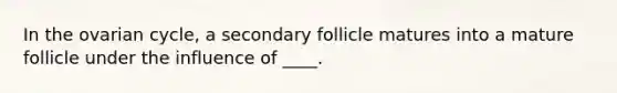 In the ovarian cycle, a secondary follicle matures into a mature follicle under the influence of ____.