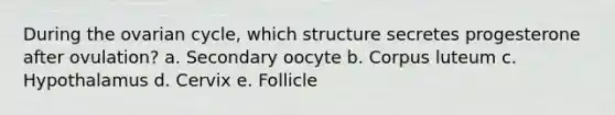 During the ovarian cycle, which structure secretes progesterone after ovulation? a. Secondary oocyte b. Corpus luteum c. Hypothalamus d. Cervix e. Follicle