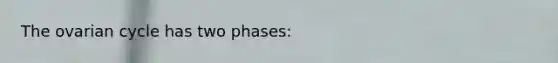 The ovarian cycle has two phases: