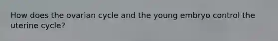 How does the ovarian cycle and the young embryo control the uterine cycle?