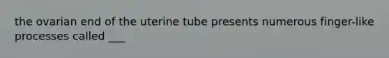 the ovarian end of the uterine tube presents numerous finger-like processes called ___