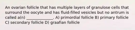 An ovarian follicle that has multiple layers of granulose cells that surround the oocyte and has fluid-filled vesicles but no antrum is called a(n) ______________. A) primordial follicle B) primary follicle C) secondary follicle D) graafian follicle