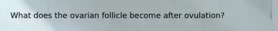 What does the ovarian follicle become after ovulation?
