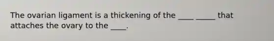 The ovarian ligament is a thickening of the ____ _____ that attaches the ovary to the ____.