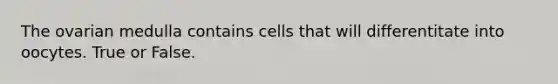 The ovarian medulla contains cells that will differentitate into oocytes. True or False.