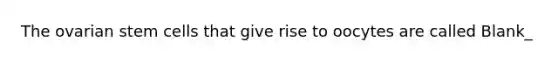 The ovarian stem cells that give rise to oocytes are called Blank_