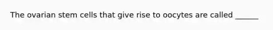 The ovarian stem cells that give rise to oocytes are called ______