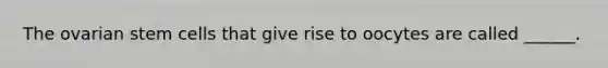 The ovarian stem cells that give rise to oocytes are called ______.