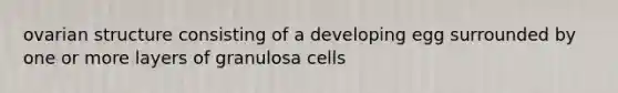 ovarian structure consisting of a developing egg surrounded by one or more layers of granulosa cells