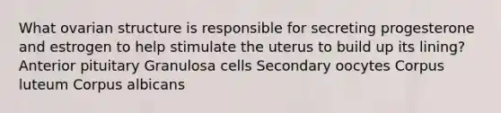 What ovarian structure is responsible for secreting progesterone and estrogen to help stimulate the uterus to build up its lining? Anterior pituitary Granulosa cells Secondary oocytes Corpus luteum Corpus albicans