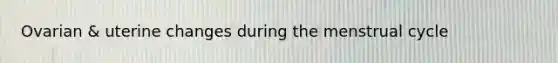 Ovarian & uterine changes during the menstrual cycle