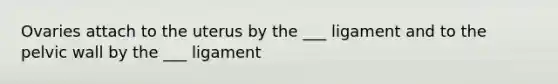 Ovaries attach to the uterus by the ___ ligament and to the pelvic wall by the ___ ligament