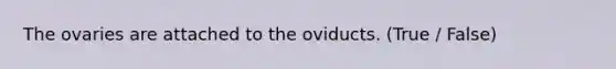 The ovaries are attached to the oviducts. (True / False)