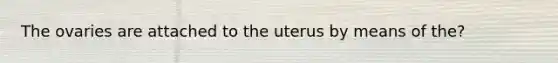 The ovaries are attached to the uterus by means of the?