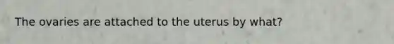 The ovaries are attached to the uterus by what?