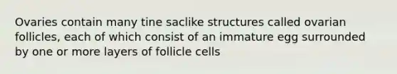 Ovaries contain many tine saclike structures called ovarian follicles, each of which consist of an immature egg surrounded by one or more layers of follicle cells