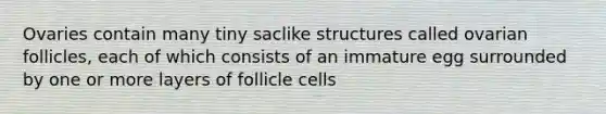 Ovaries contain many tiny saclike structures called ovarian follicles, each of which consists of an immature egg surrounded by one or more layers of follicle cells