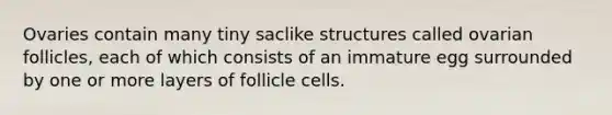 Ovaries contain many tiny saclike structures called ovarian follicles, each of which consists of an immature egg surrounded by one or more layers of follicle cells.