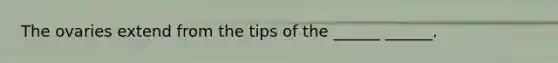 The ovaries extend from the tips of the ______ ______.