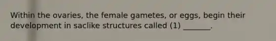 Within the ovaries, the female gametes, or eggs, begin their development in saclike structures called (1) _______.