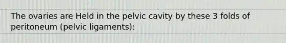 The ovaries are Held in the pelvic cavity by these 3 folds of peritoneum (pelvic ligaments):