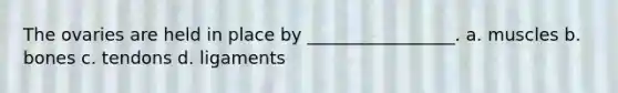 The ovaries are held in place by _________________. a. muscles b. bones c. tendons d. ligaments