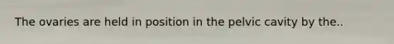 The ovaries are held in position in the pelvic cavity by the..